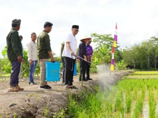 Gubernur Lampung Ajak Peternak dan Petani Untuk Hasilkan Pakan Mandiri