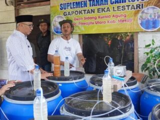 Tinjau Pembuatan POC, Gubernur Lampung: Kita Ingin Petani Makmur